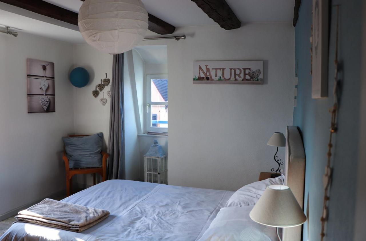 Apartmán Sous Les Toits Du Zinc - Climatise Colmar Exteriér fotografie