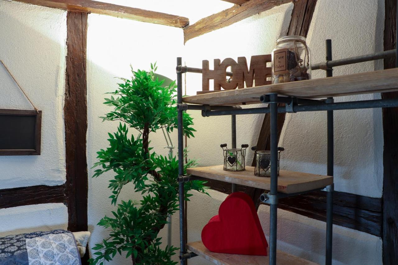 Apartmán Sous Les Toits Du Zinc - Climatise Colmar Exteriér fotografie