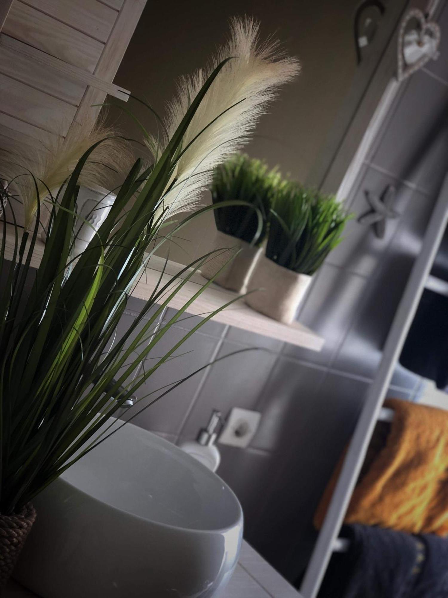 Apartmán Sous Les Toits Du Zinc - Climatise Colmar Exteriér fotografie