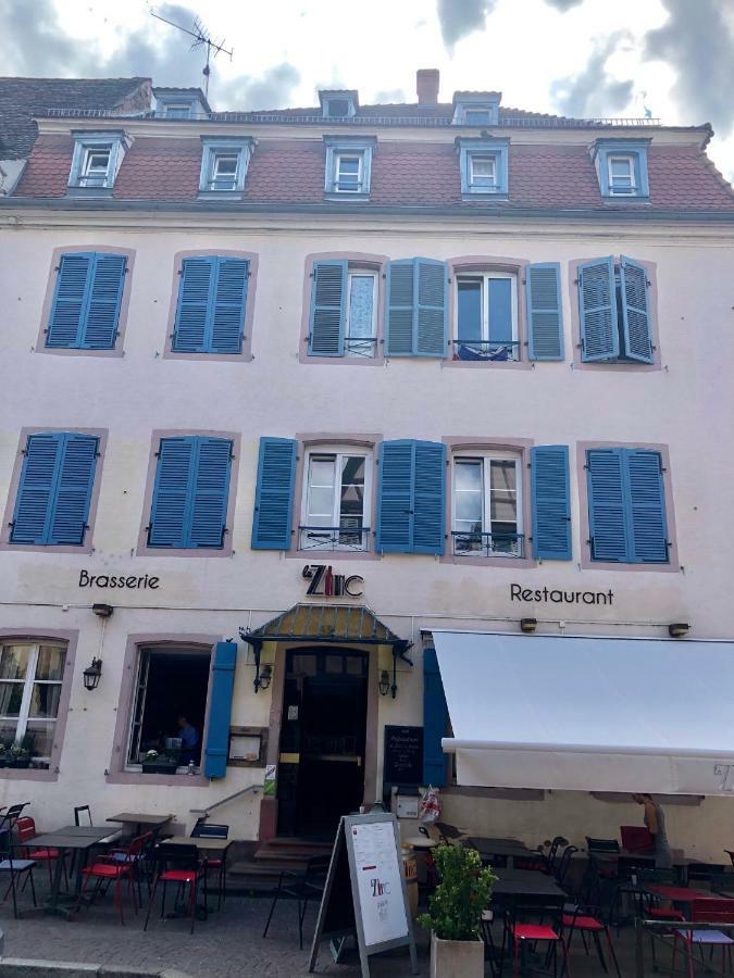 Apartmán Sous Les Toits Du Zinc - Climatise Colmar Exteriér fotografie
